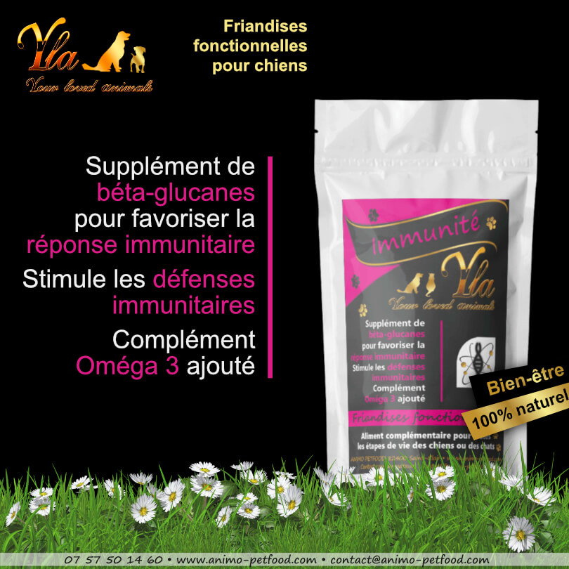 friandises-pour-la-sante-du-systeme-immunitaire